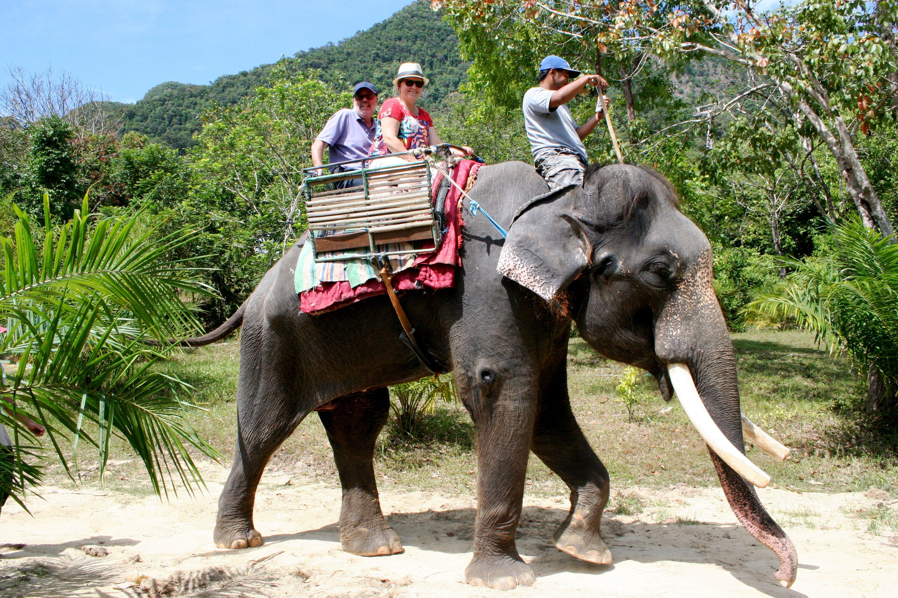 Elephant with riders.